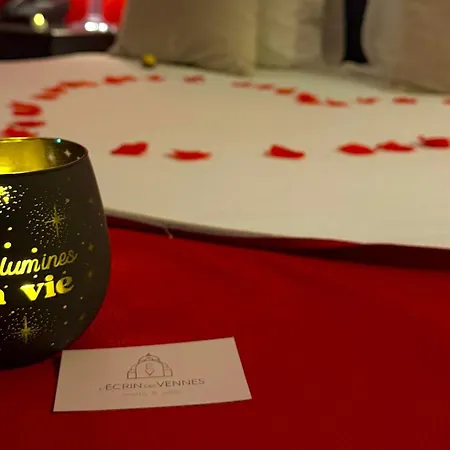 Hotel L'ecrin Des Vennes - Centre